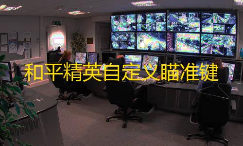 暗区突围物资透视和平精英自定义瞄准键